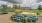 Enjoy sunny days at our beautiful community park at Elina in Austin